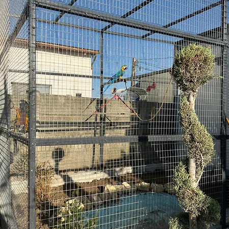 Tatil Evi Maya Corbu (Constanta)