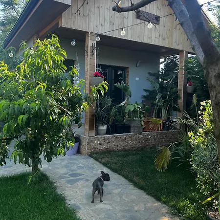 Maya * Corbu (Constanta)