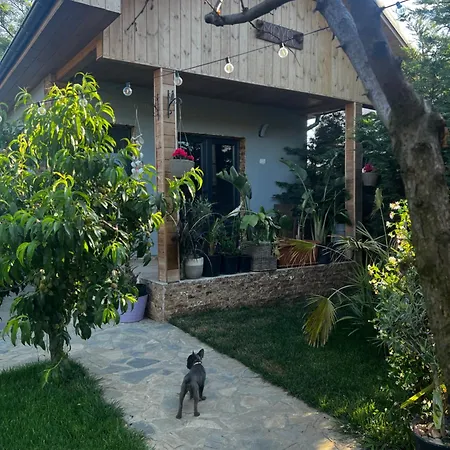 Maya * Corbu (Constanta)