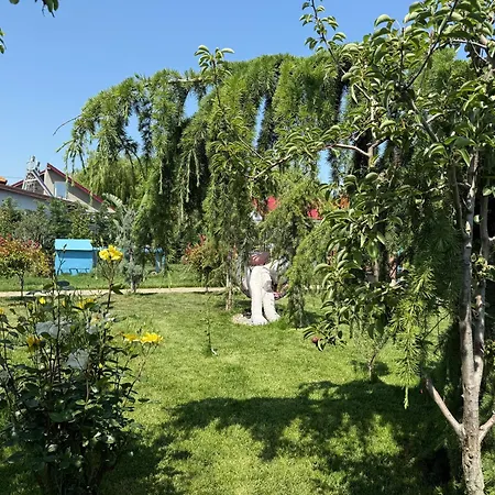 Tatil Evi Maya Corbu (Constanta)