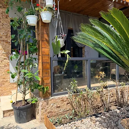 Maya Tatil Evi