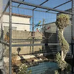Case de vacanță Maya Corbu (Constanta)