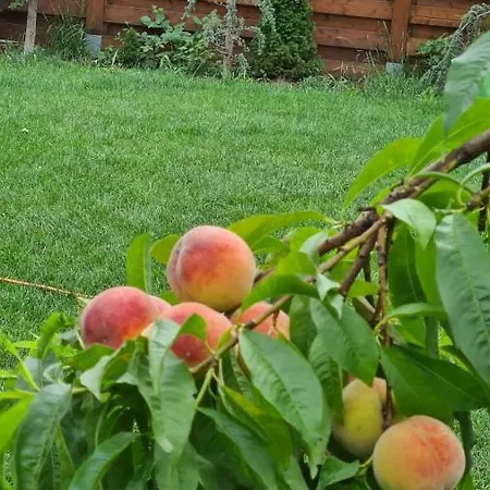 Casa vacanze Maya Corbu (Constanta)