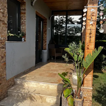 Maya Corbu (Constanta)