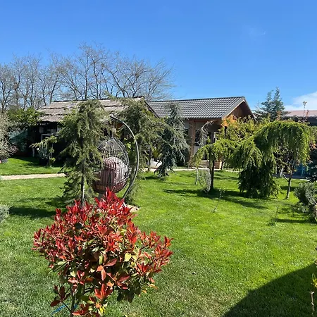 Maya Corbu (Constanta)