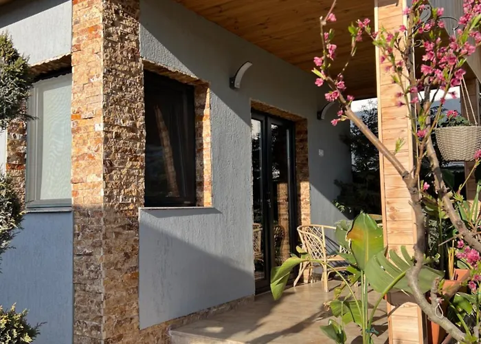 Maya Corbu (Constanta)