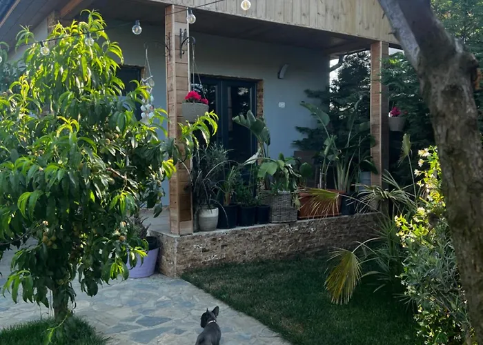 Maya * Corbu (Constanta)