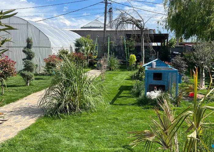 Maya Corbu (Constanta)