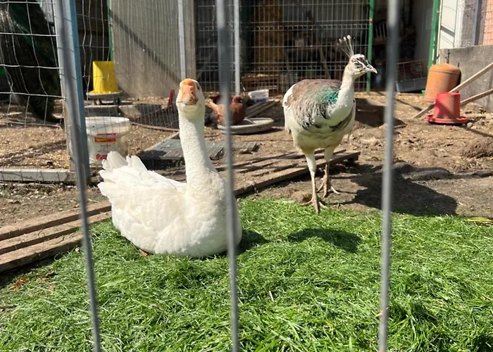 Maya Case de vacanță